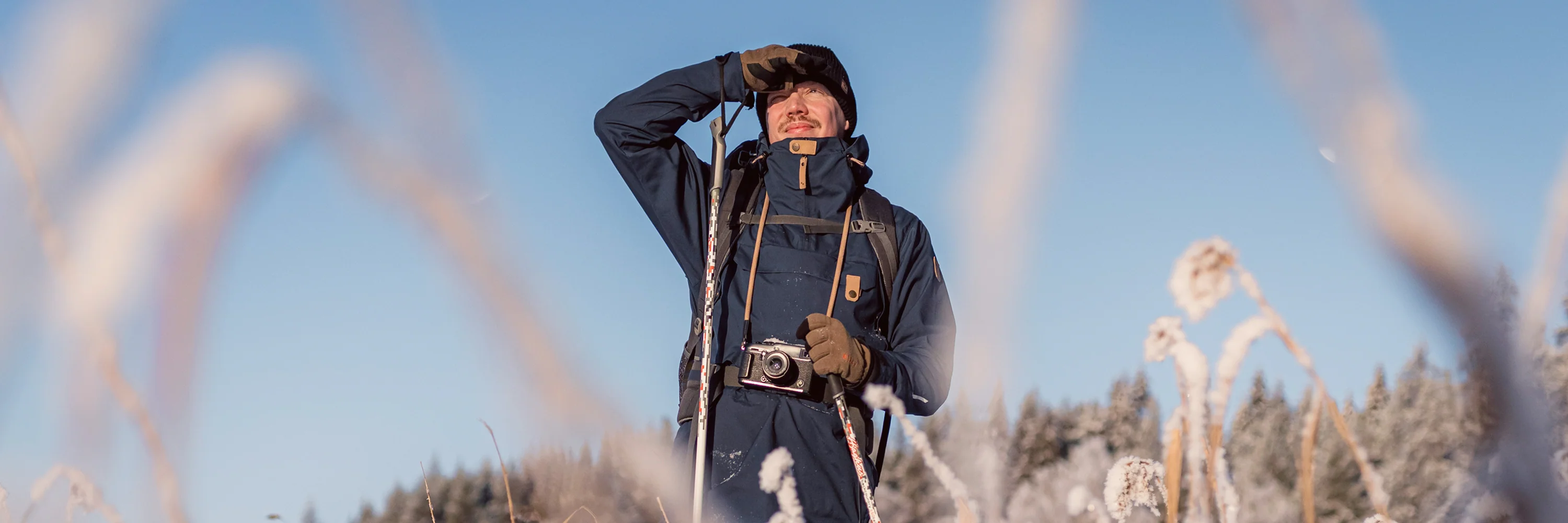 Master the Elements with Sasta